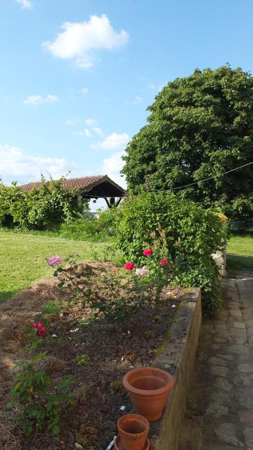 Bed and Breakfast A L'Ombre Du Marronnier La Peruse Exterior foto